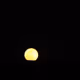 Rising Moon - old