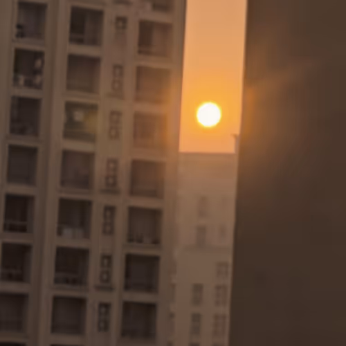 Rising Sun in a concrete Jungle