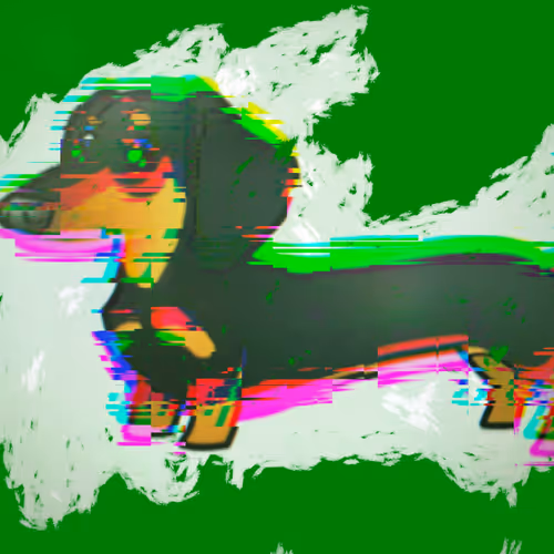 Rita_dachshund
