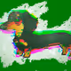 Rita_dachshund