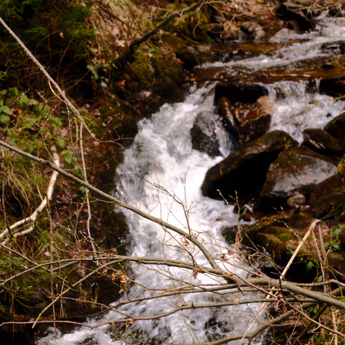 River