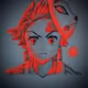 Collection Demon Slayer