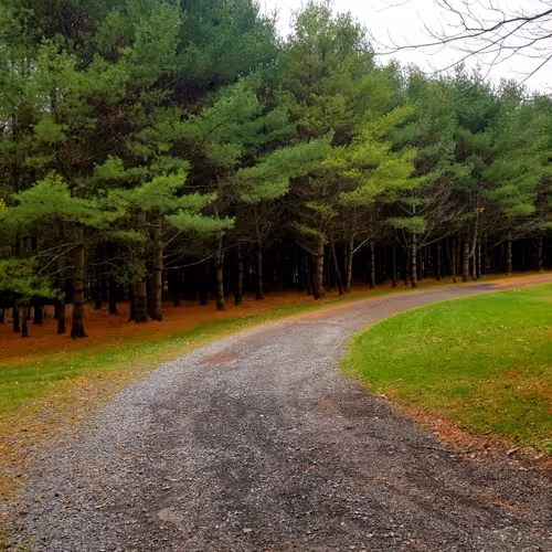 Road to the best day of your life.