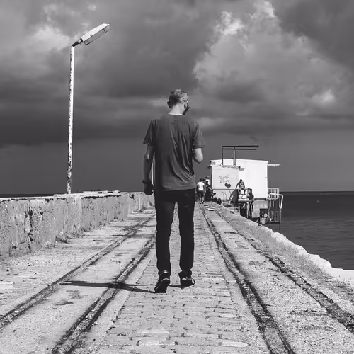 Road The Freedom - Editions