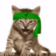 Roaring Kitty
