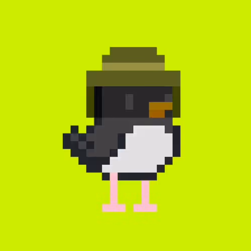 Rob ducks