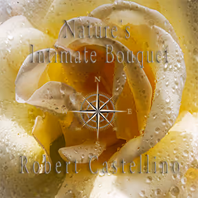 Nature's Floral Bouquet