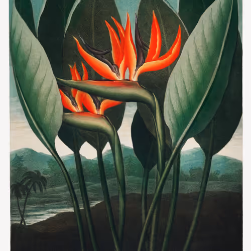 Robert John Thornton