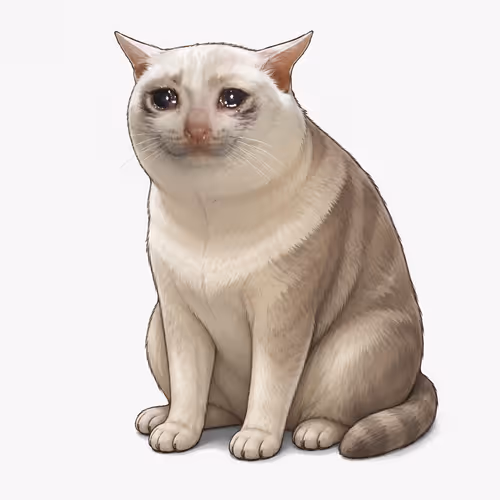 robimhoods cats