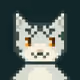 Robin Frens NFT