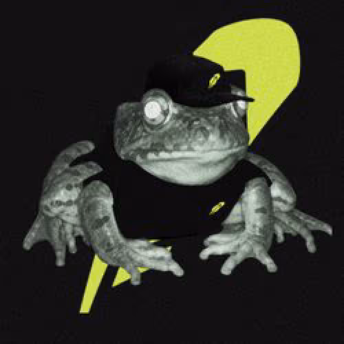 Robin Frongs