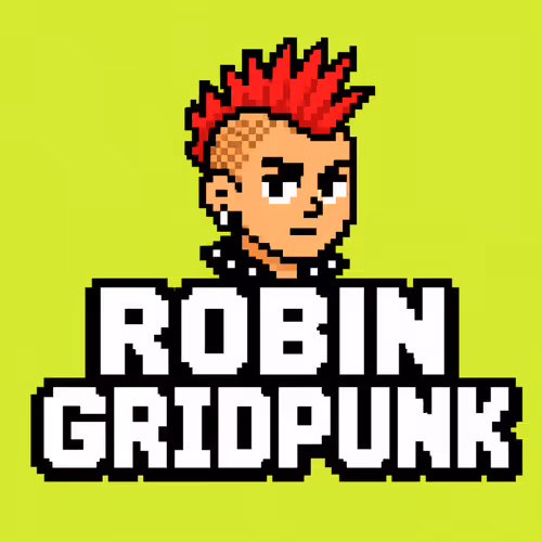 ROBIN GRIDPUNK