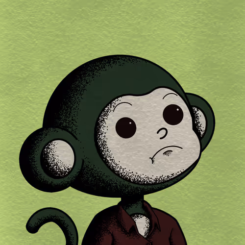 ROBIN MONKES