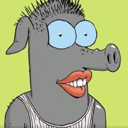 Robin PIG