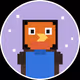 RobinBirds