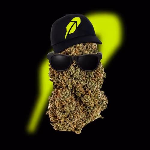 Robin Bud