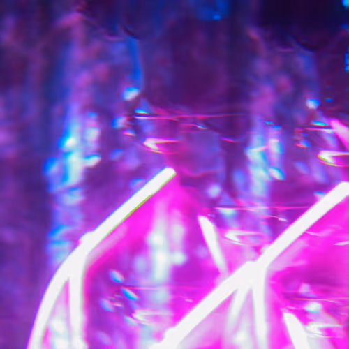 RobinFox
