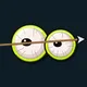 Robinhood Birds