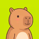 Robinhood Capybaras