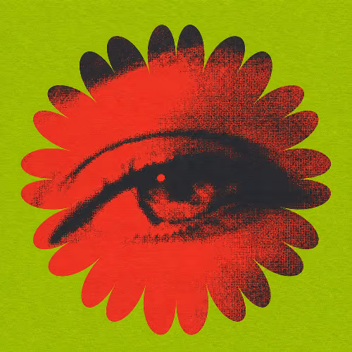 robinwcamguy