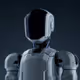 robo