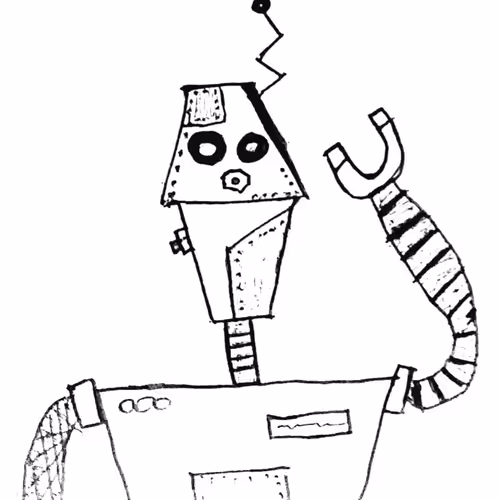 RoboJunks