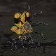 RobXopus