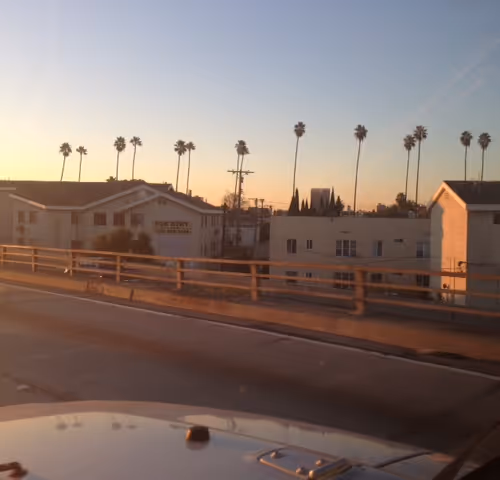 RockieRockie Collection