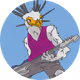 Rock N Birds