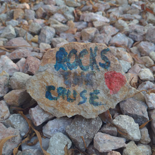 Rocks The Cause
