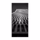 Roels_Photography - old