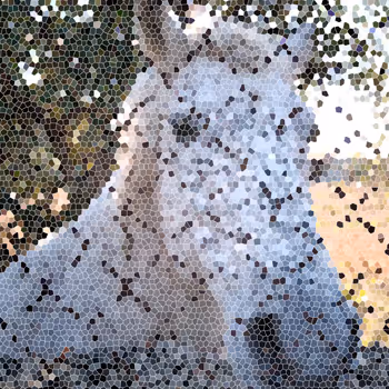 Rolabtive Animal Pix