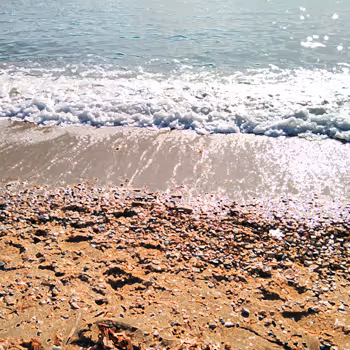 Rolabtive Realistic painting on the beach