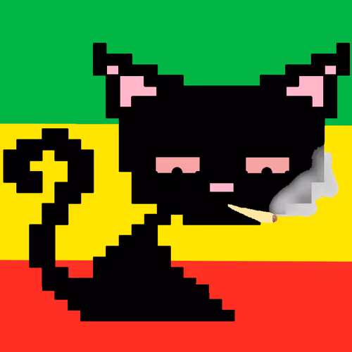 ROMEO THE CAT - old