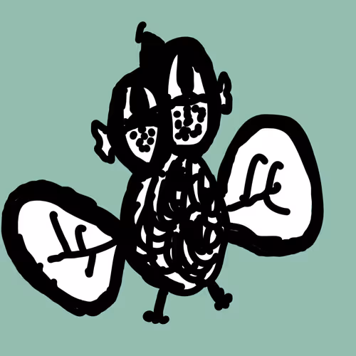 Rona Flies - old