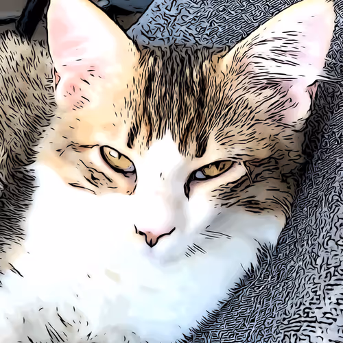 Rooster The Kat - old