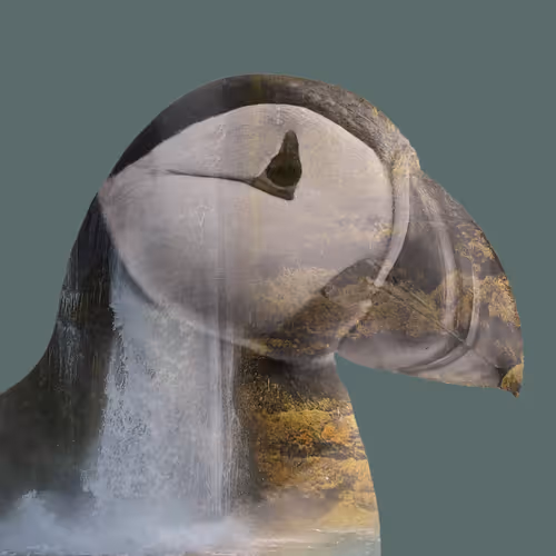 Roots Of Wilderness - old