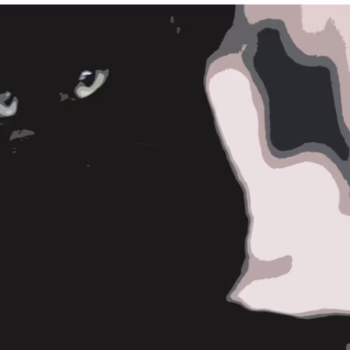 ROQOO-CAT Collection