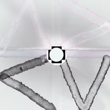 hCUyrorriM