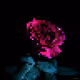 rose by dallyboi