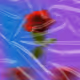 ROSE V6 - old