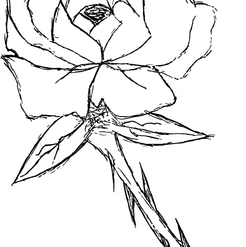 RoseCollection