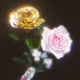 roses in NFT