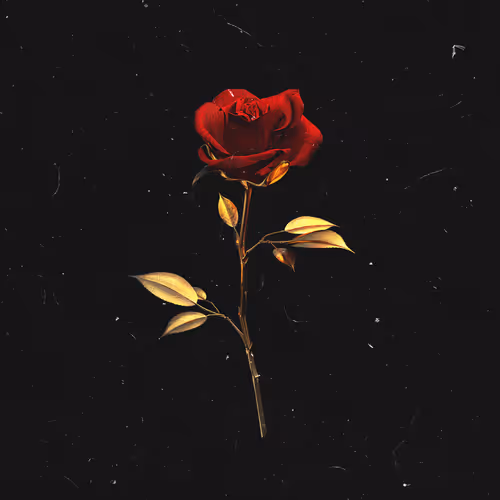 Roses & Gold - old - old