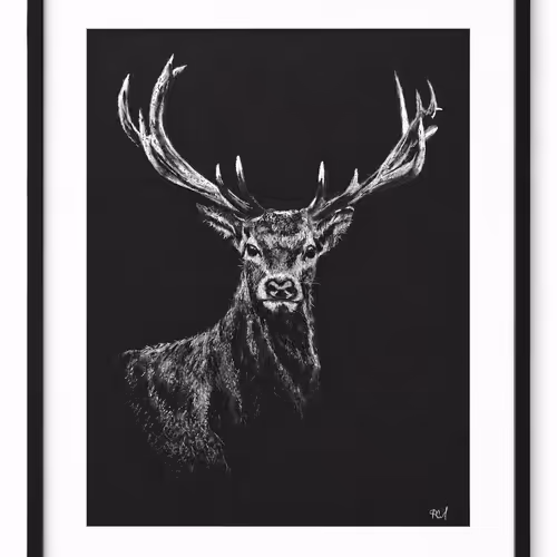 Royal deer