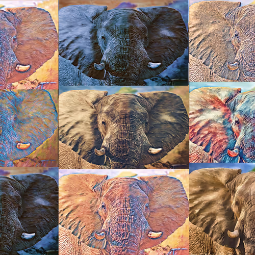 Royal Elephants