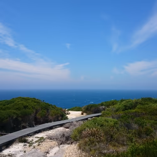 Royal National Park Australia
