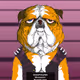 Ruffbloods - old