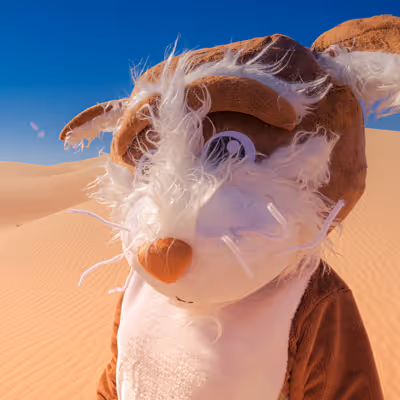 Rufus - Crossing The Dunes