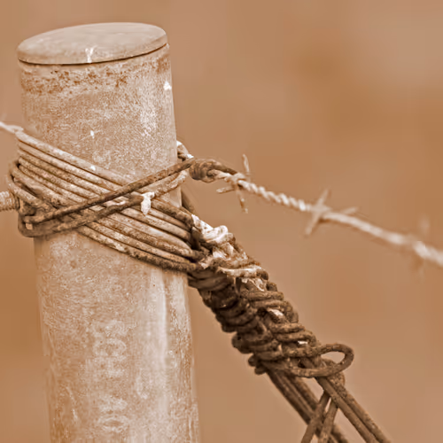 Rugged Living- Country Style